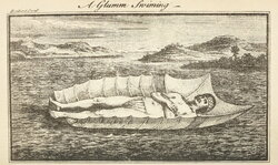 A Glumm Swimming