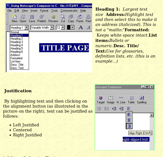 Netscape Composer