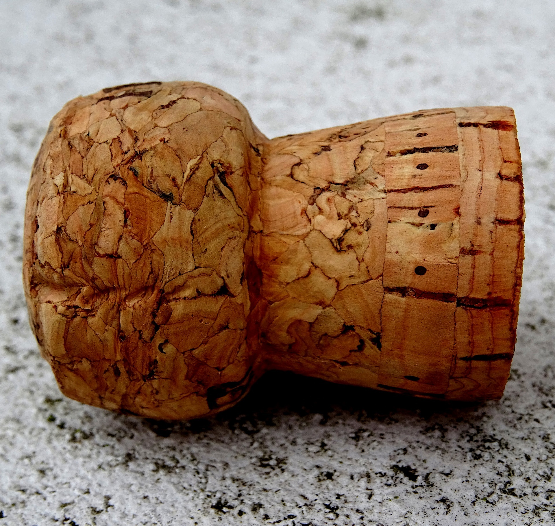 Champagne Bottle Cork