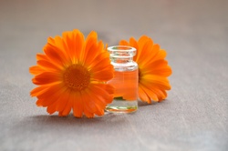 Calendula officinalis oil in a glass bottle next to flowers