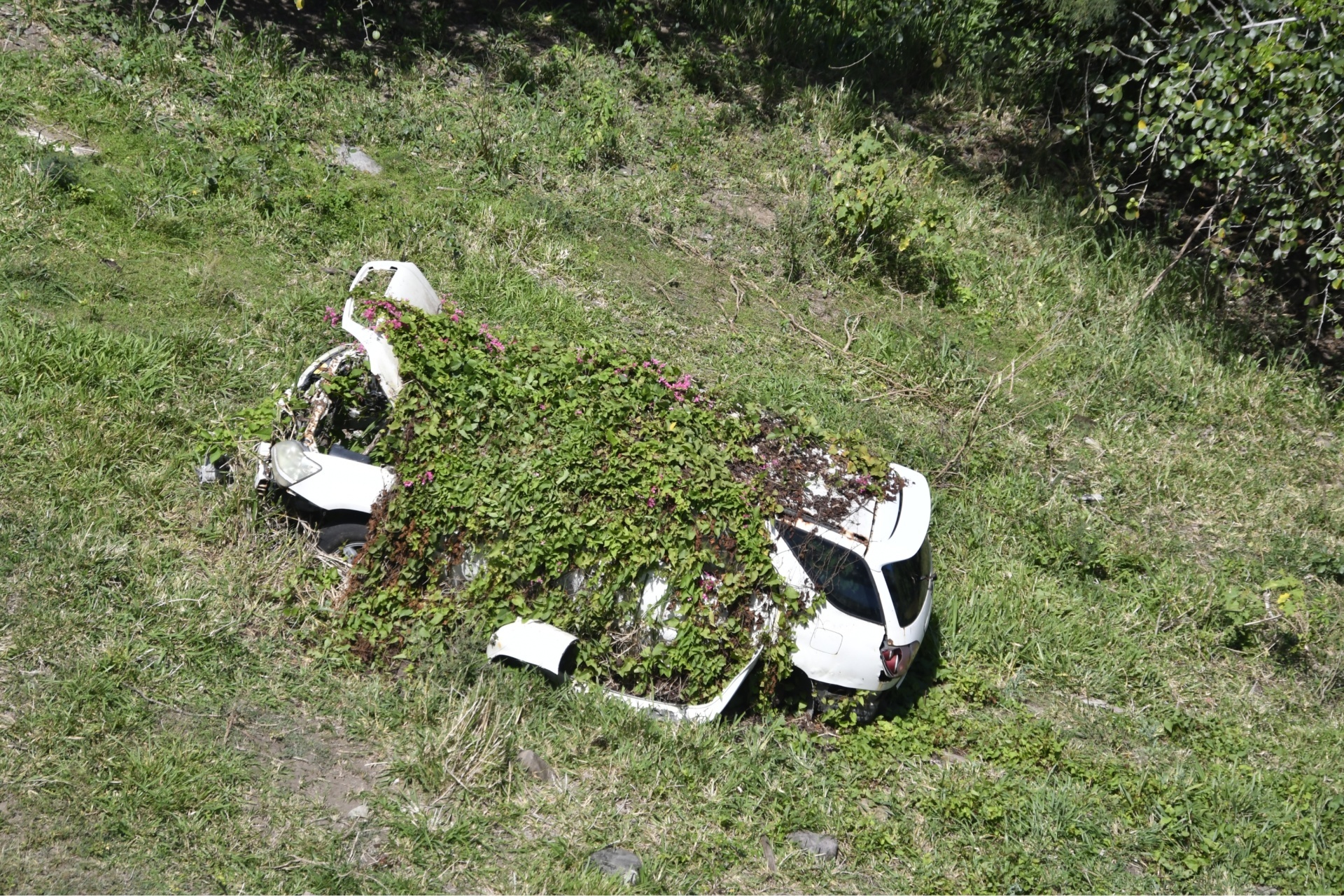 St. Kitts Scenic Railway Photograph