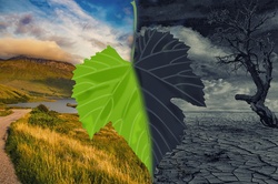 Climate Change