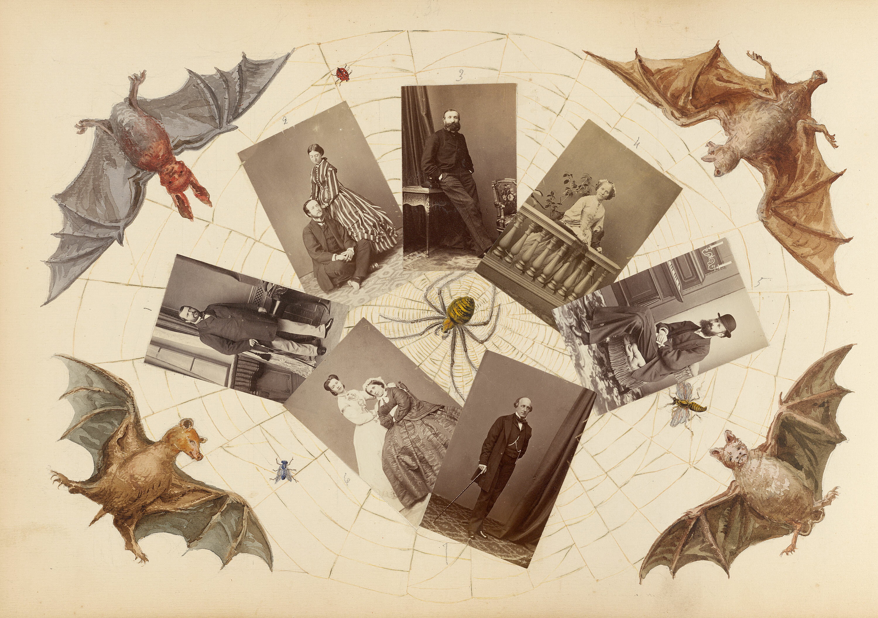 The Madame B Album (ca. 1870s)
