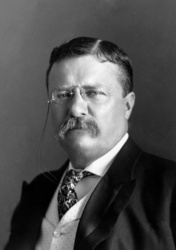 26th President of the USA
