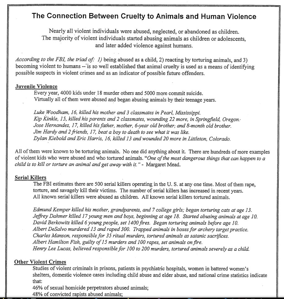 abuse of animals