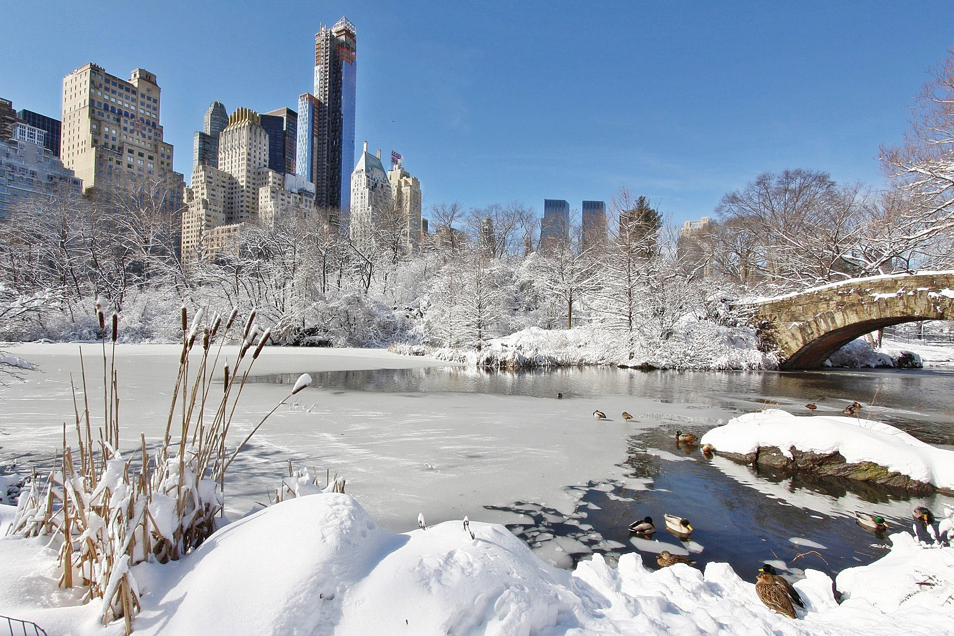 City under white blanket