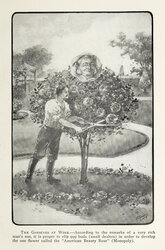 The Gardener at Work