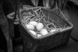 A Nest Of Straw Chicken Eggs
