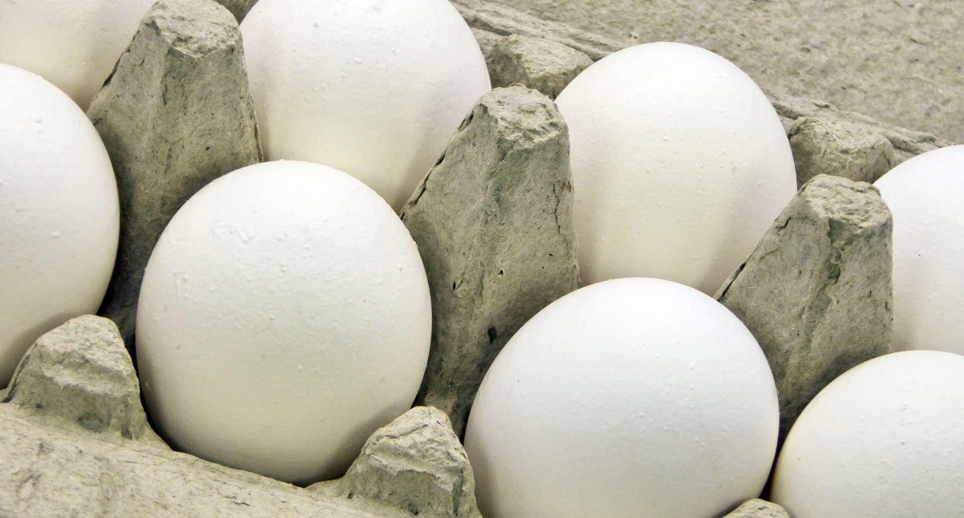 Close up of eggs in carton