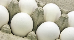 Close up of eggs in carton