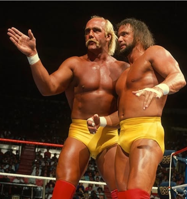 Mega Powers! Or a tag team in the World Wrestling Federation (WWF)