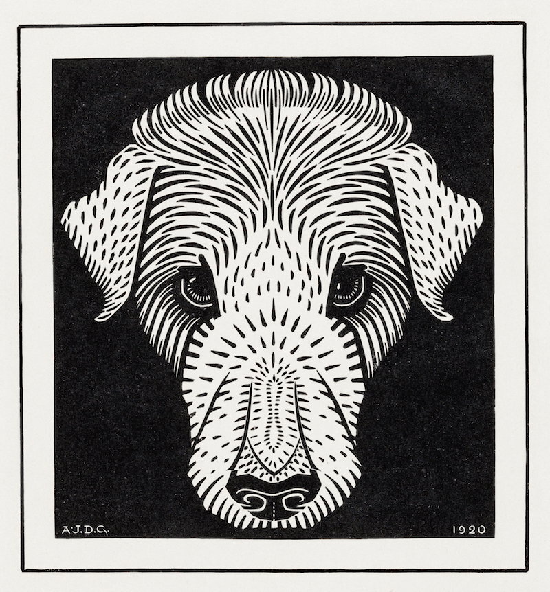 Dog Head