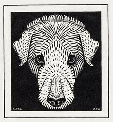 Dog Head
