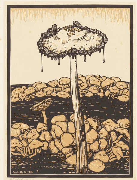 Dripping Mushroom