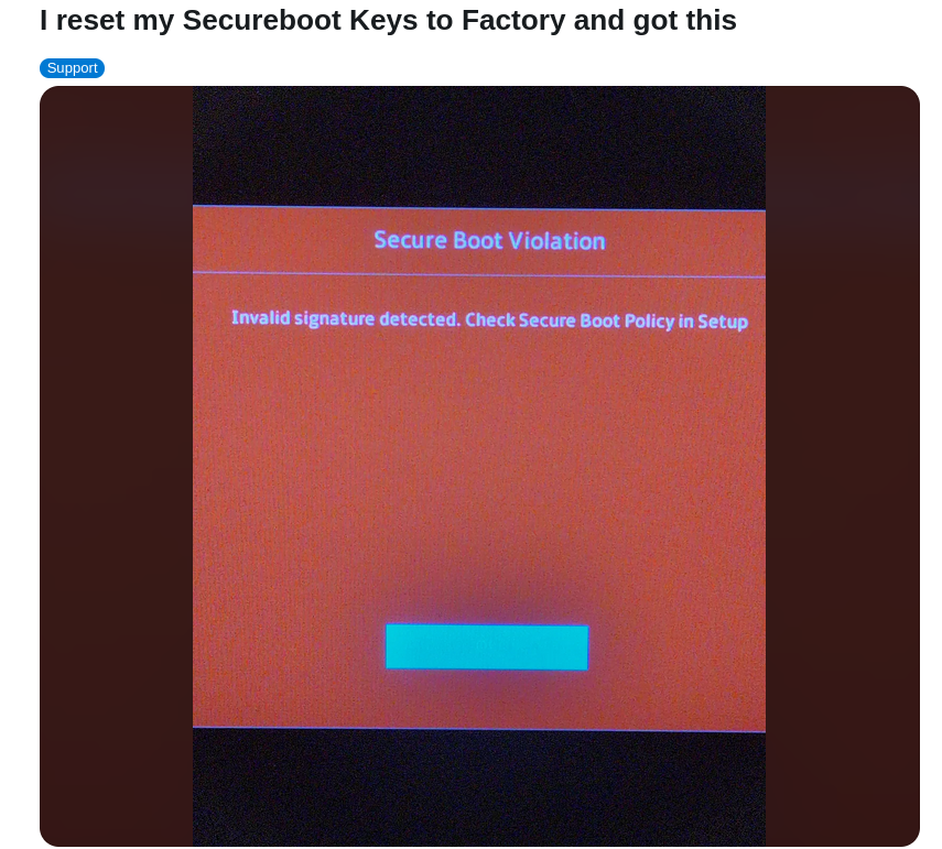I reset my Secureboot Keys to Factory and got this 