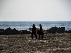 Surfers walking to the ocean with their boards in cartoon format