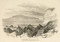 Collecting Under Byng Cliff