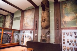American Museum Of Natural History