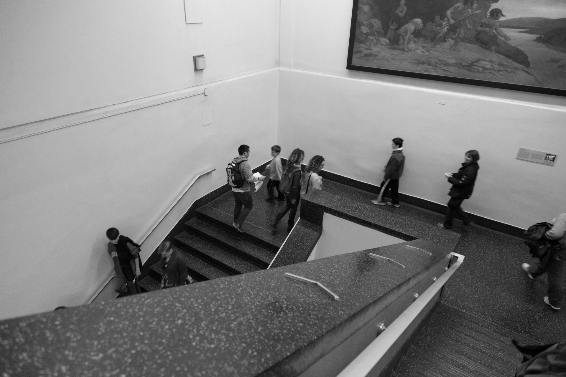 American Museum Of Natural History