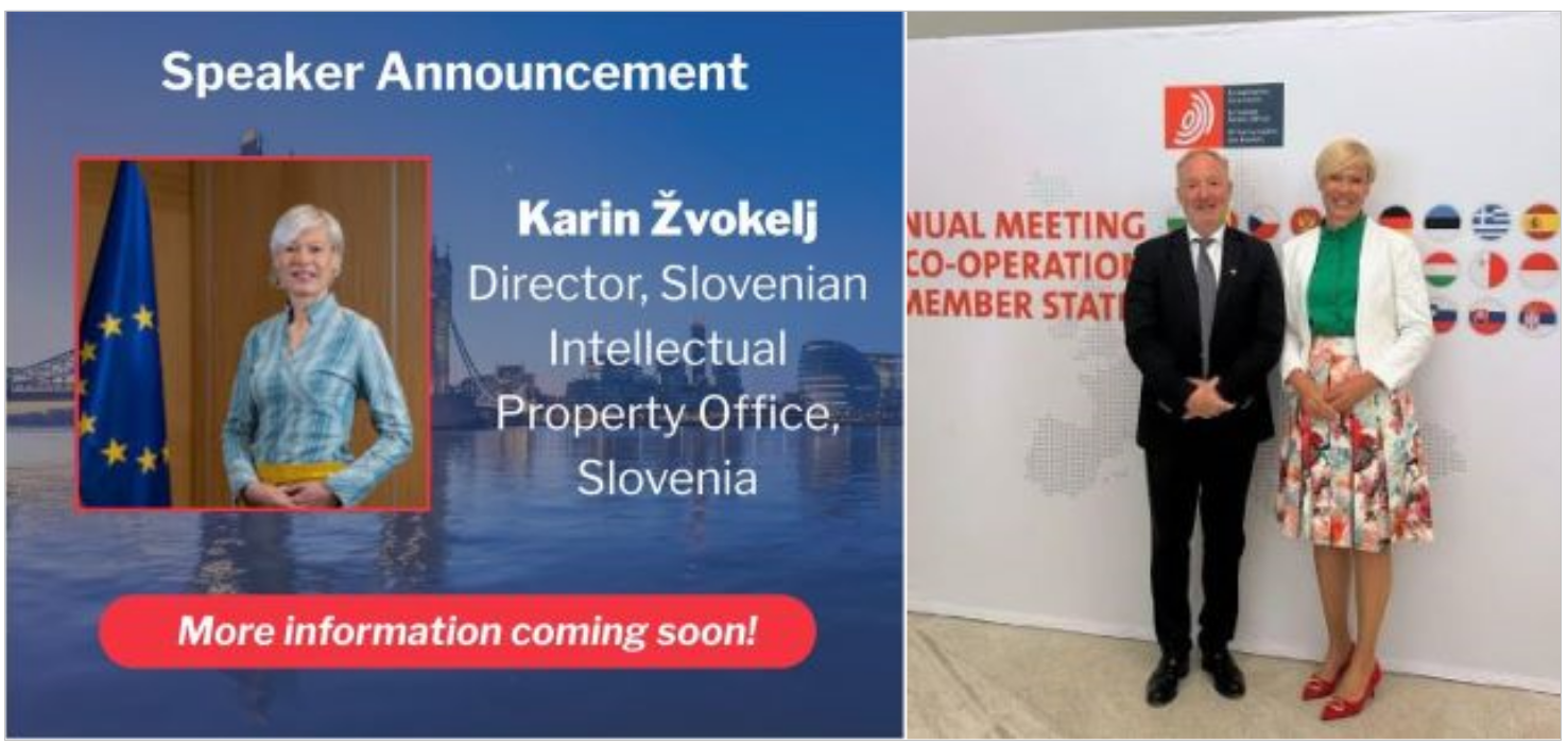 Karin Žvokelj appeared as a guest speaker at the INTA Annual Meeting