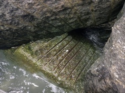 Beach Rock Water