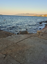 Seaside Shoots 5