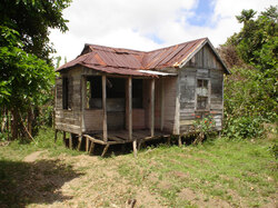 A Shack in St. Marys Parish Jamaica