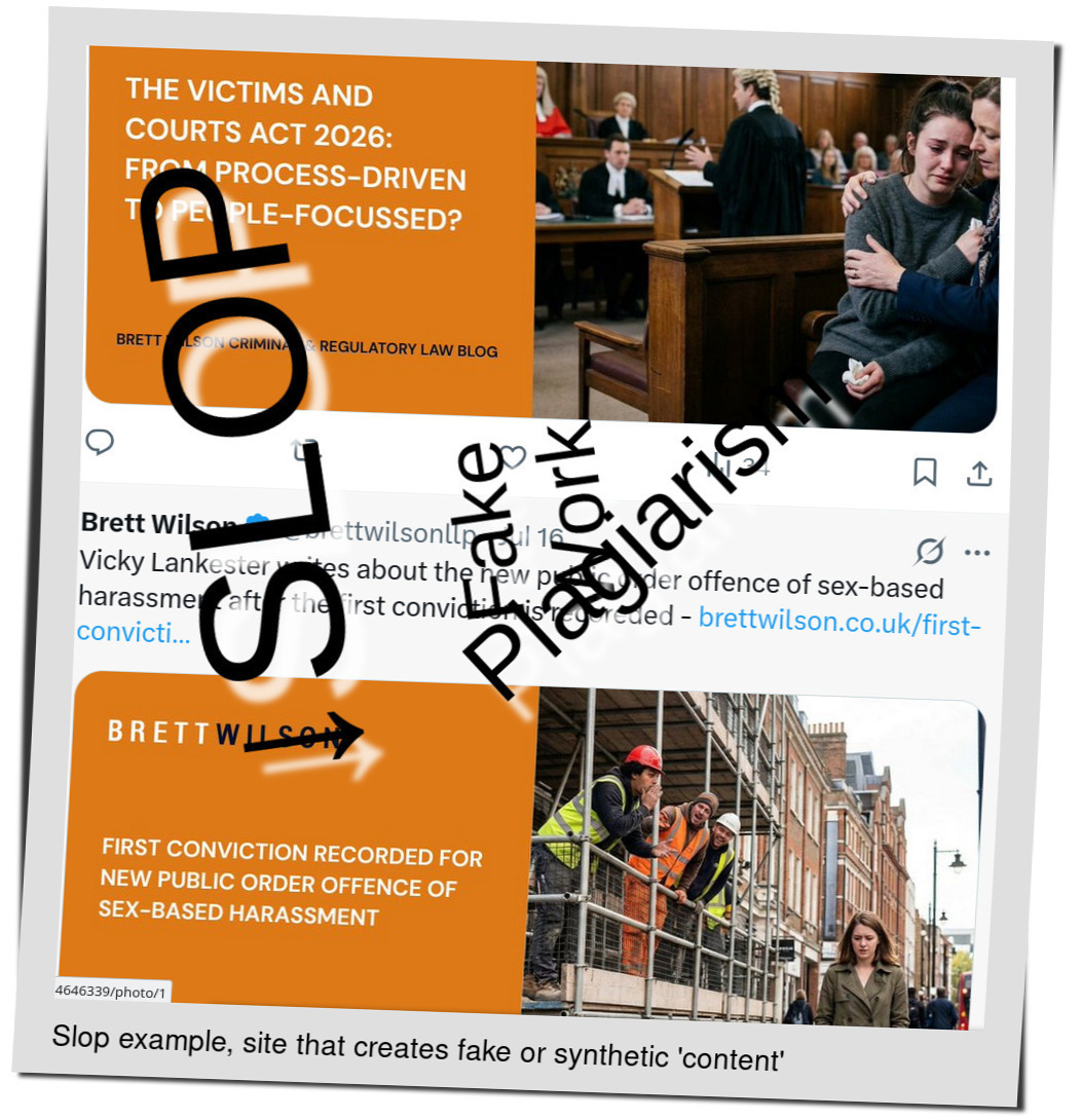 Slop or fake: Vicky Lankester writes about the new public order offence of sex-based harassment after the first conviction is recoreded
