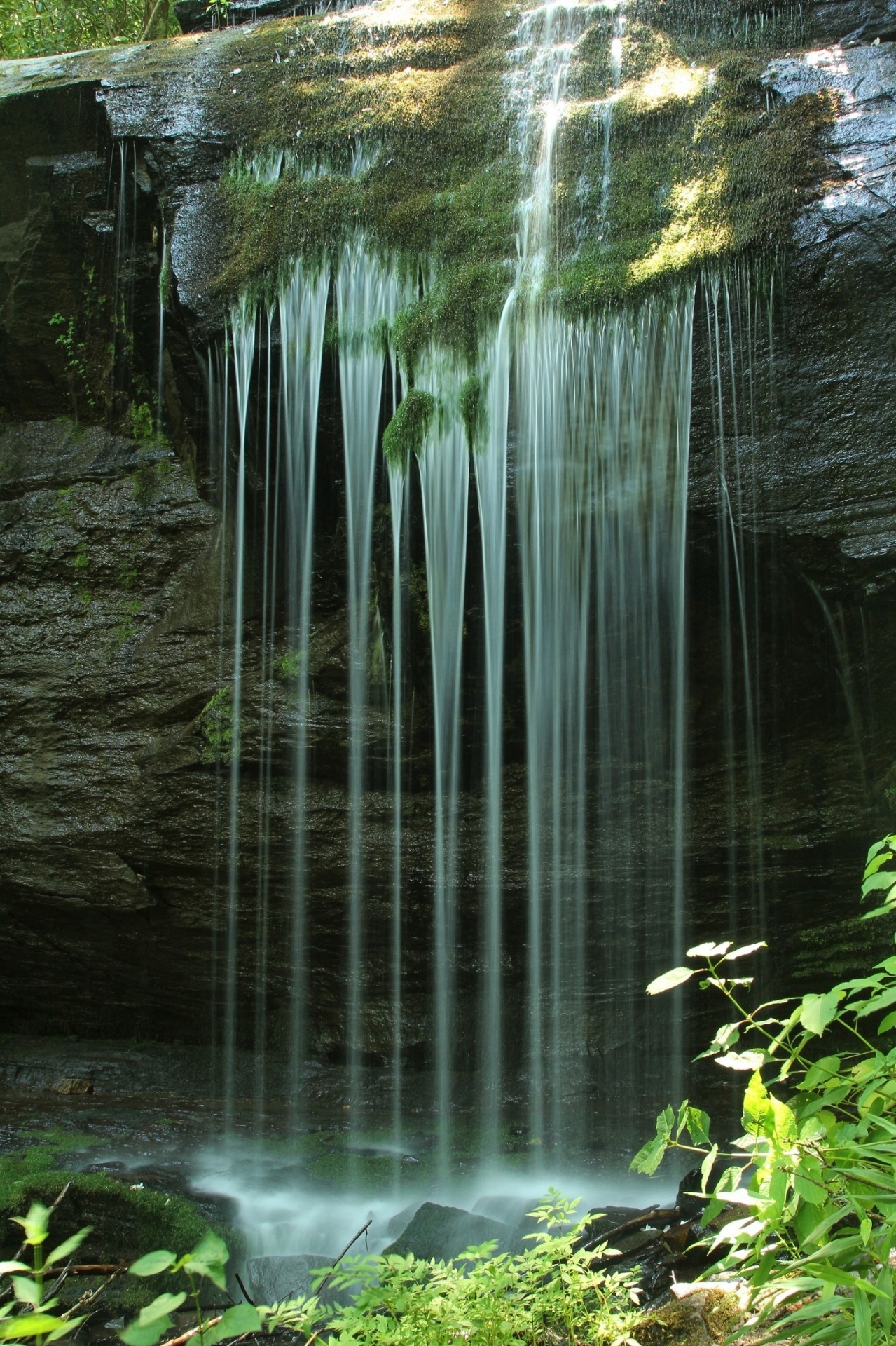 Scenic Forest Waterfall