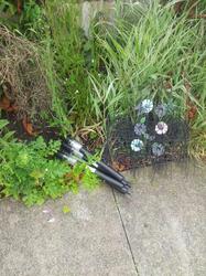 Peak Gardening Season