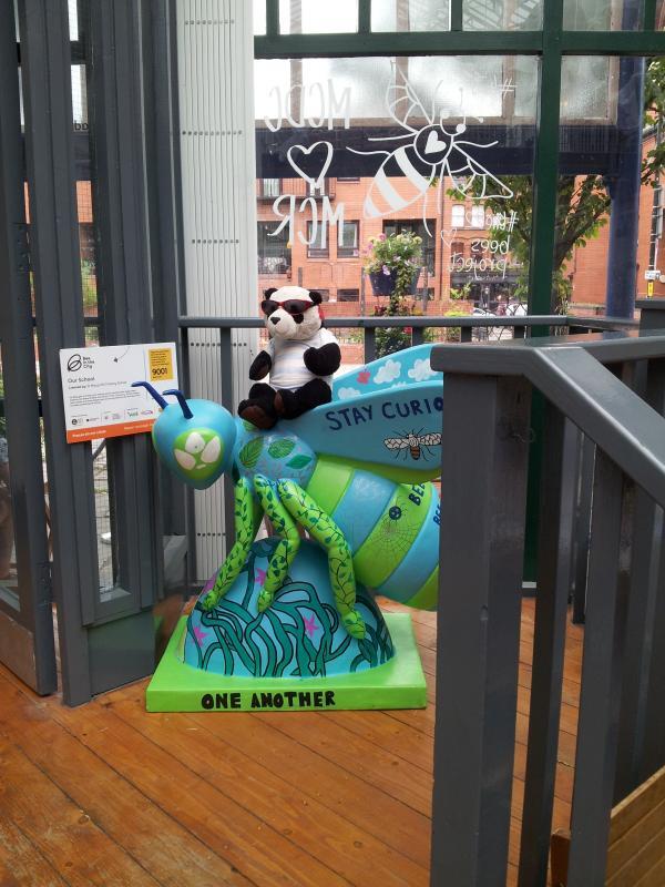 Manchester Bees