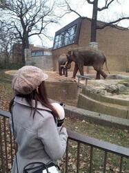 Berlin Zoo