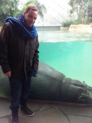 Hippos