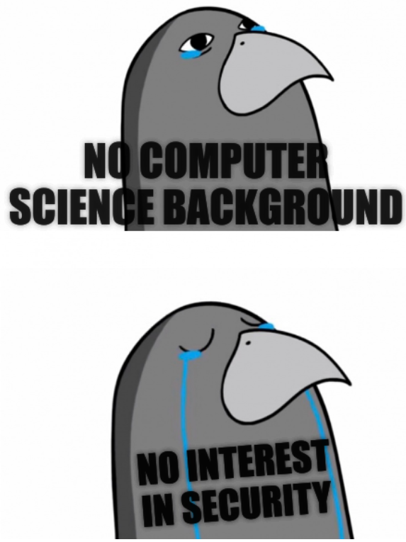 No Computer Science background; No interest in security