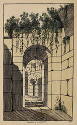 Flora of the Colosseum of Rome (1855)