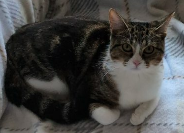 Uploaded photo of Kiki