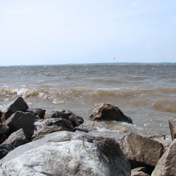 Muddy Waters of Rend Lake Southern Illinois