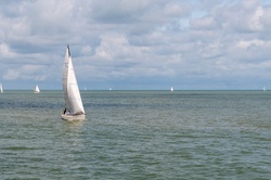 Photo of a white sailboat with full sails catches the wind as it glides across the calm sea.