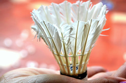 Shuttlecock in hand
