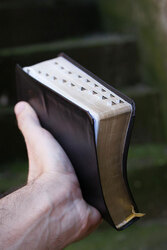 Holy Bible