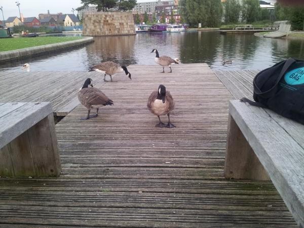Boat Canal Picnic