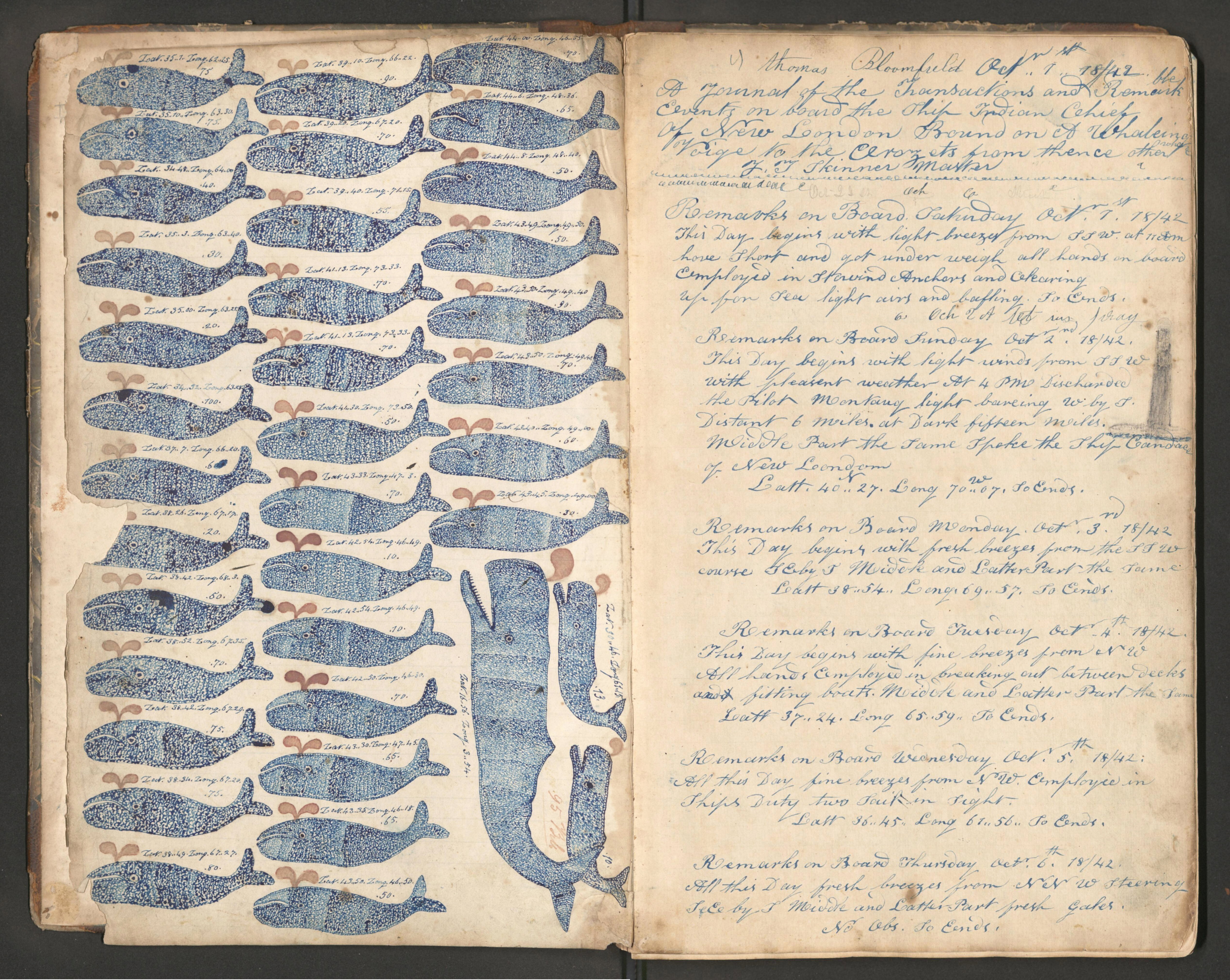 Drawings of Whales in the Log of the Ship Indian Chief