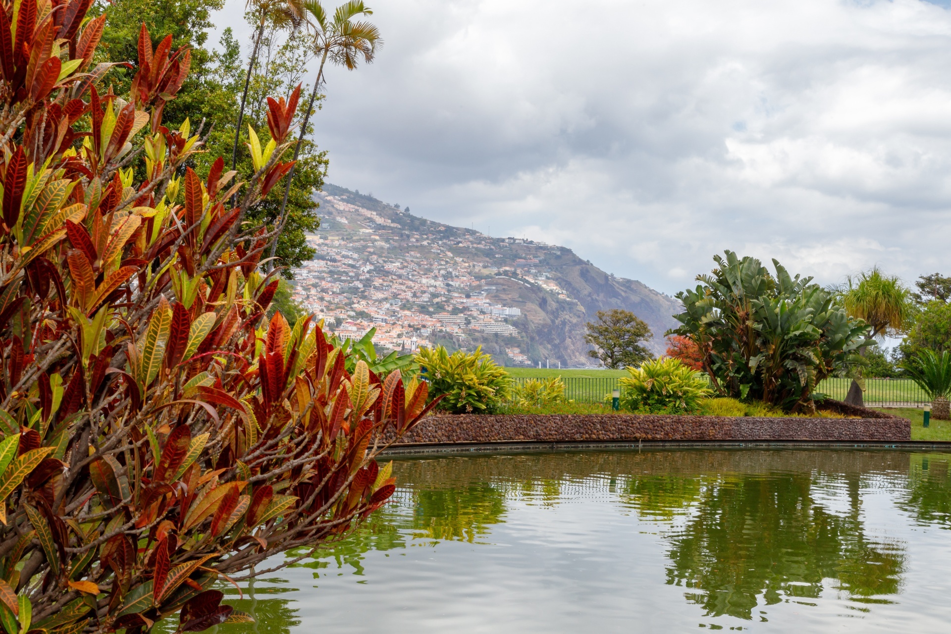 City garden in Funchal, Madeira