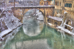Ducks in winter water