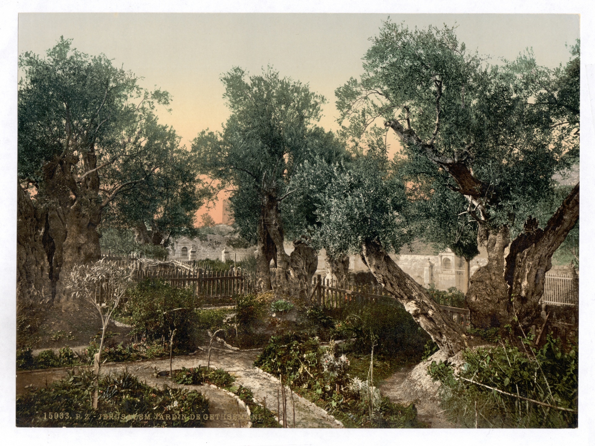 Garden of Gethsemane