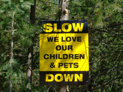 We Love Our Children and Pets