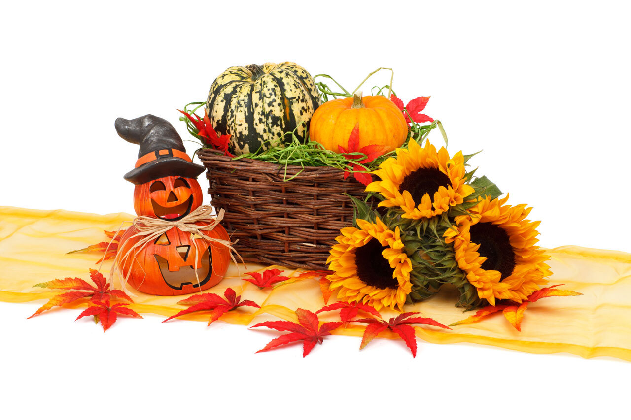 Cute halloween decoration
