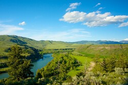 Green Wooded River Valley