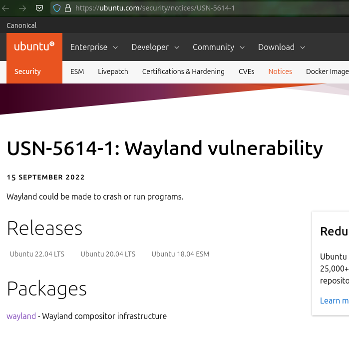 USN-5614-1: Wayland vulnerability