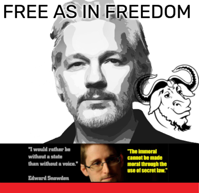 Assange freedom meme